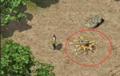 探寻新藏宝阁两种方法取得技术书外满足不同玩家的